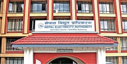 नेपाल विद्युत् प्राधिकरणले विभिन्न पदमा कर्मचारी माग्यो