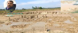 बेमौसमी वर्षाले मधेशका ईटा उद्योगमा ठूलो क्षति,उद्योगीहरू मारमा