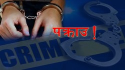 चितवनमा एक वर्षमै ८६ बालबालिका अपराध आरोपमा पक्राउ
