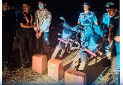 विन्दवासिनीबाट ३९ किलो गाँजासहित एक जना पक्राउ, तीन मोटरसाइकल बरामद