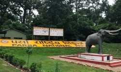 पर्साको चिडियाखानाको जग्गा अतिक्रमण