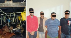 पशुलाई निर्दयी व्यवहार गर्ने श्रेष्ठ र आलम प्रहरी खोरमा