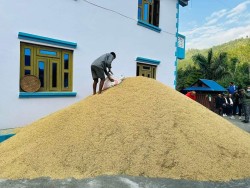 भारतबाट २० अर्ब ३५ करोड ७० लाख रुपैयाँको धान आयात