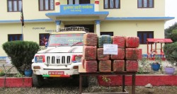 मकवानपुरबाट २१२ किलो गाँजा बरामद