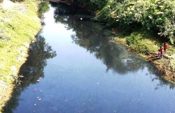 बाराका उद्योगीहरूको असहयोगका कारण सिर्सिया नदी पुनः गम्भीर प्रदूषणको चपेटामा