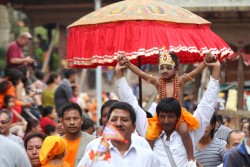 वीरगञ्जमा गाईजात्रा उत्सव, परम्परा र व्यङ्ग्यको रंगीन संगम
