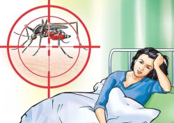 गर्मी सँगसँगै बढ्यो डेङ्गुको सङ्क्रमण 
