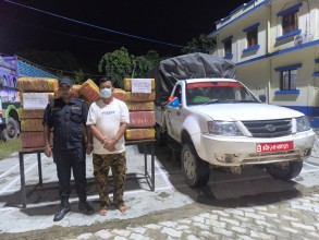 पर्सामा २०७ केजी गाँजासहित पिकअप र चालक पक्राउ