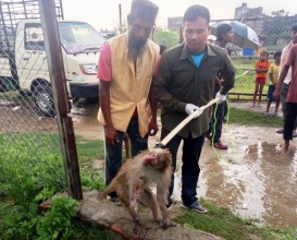 पर्सा राष्ट्रिय निकुञ्जको ‘वाइल्ड लाइफ रेस्क्यु टिम’ सक्रिय
