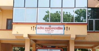 बाढीपीडितको राहतमा कलैया उपमहानगरपालिकाको ७७ लाख ७७ हजार ७७७ रुपैयाँ सहयोग
