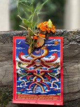 देशभर श्रद्धा र भक्तिसाथ नागपञ्चमी पर्व मनाइँदै