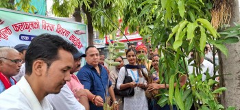 वीरगञ्जमा “एक घर, एक बिरुवा” अभियान अन्तर्गत विभिन्न प्रजातिका फलफूलका बिरुवा निशुल्क वितरण 