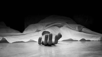 कैलालीमा मलामी बोकेको ट्रयाक्टर दुर्घटना हुँदा ३ जनाको ज्यान गयो