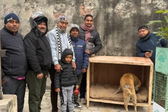 चिसोबाट जोगाउन वीरगञ्ज–१० मा कुकुरका लागि सेल्टर व्यवस्था