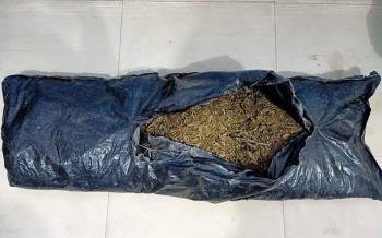 पर्सामा १६० किलो गाँजा बरामद, चालकसहित कार नियन्त्रणमा