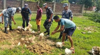जिराभवानीमा ७५ किलो प्रतिबन्धित भारतीय ब्रोइलर कुखुरा र मोटरसाइकल बरामद