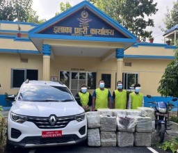 बराहक्षेत्रमा प्रहरीको ठूलो सफलता, ४१८ किलो गाँजासहित चार जना पक्राउ