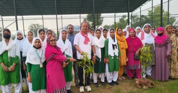 लायन्स क्लब अफ वीरगंज गेटवेद्वारा मुस्लिम महिला हाईस्कुल परिसरमा वृक्षारोपण