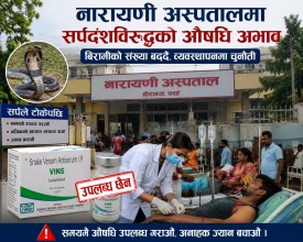 नारायणी अस्पतालमा सर्पदंशविरुद्धको एन्टिस्नेक भेनम अभाव, बिरामीको संख्या बढ्दै जाँदा चिन्ता