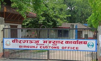 चालु आवको छ महिनामा वीरगञ्जबाट ७ अर्ब ६४ करोडको दलहन भित्रियो