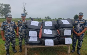 भारततर्फ लैजाँदै गरेको १५२ किलो गाँजा सशस्त्र प्रहरीको नियन्त्रणमा