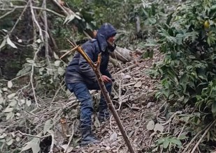 पाल्पामा टिप्पर दुर्घटना, चालकको घटनास्थलमै मृत्यु