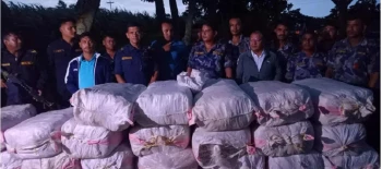 मोरङको धनपालथानबाट ठूलो परिमाणमा गाँजा बरामद