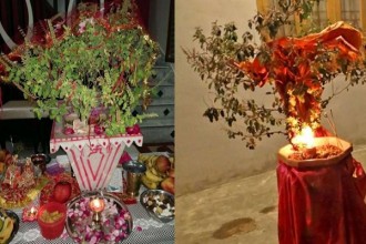 आज हरिबोधिनी एकादशी, तुलसीको पूजा आराधना र बिबाह गरि मनाईदै