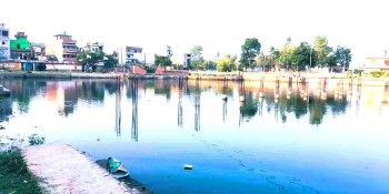 १५ करोड सकियो, पोखरीको हालत उस्तै ,,वीरगञ्जका पोखरीमा न सौन्दर्य, न स्वच्छता 