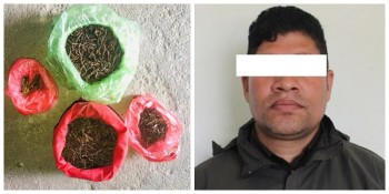 सङ्खुवासभाबाट दुर्लभ यार्सागुम्बासहित एक व्यक्ति पक्राउ
