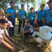 वीरगञ्जमा ७१औँ प्रहरी दिवसको अवसरमा १५० बिरुवा रोपियो