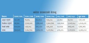 मधेस प्रदेश सरकारको ६ वर्षमा ७ अर्ब भन्दा बढी बेरुजु