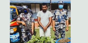 १९ केजी गाँजासहित सिरहाबाट राजेश दास पक्राउ