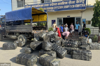 घरमा २१ क्विन्टलभन्दा बढी गाँजा भण्डारण, दुई जना पक्राउ