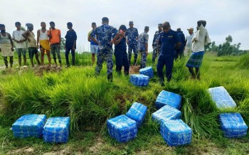 सप्तरीबाट ठूलो परिमाणमा गाँजा बरामद, ४ सय किलो नियन्त्रणमा