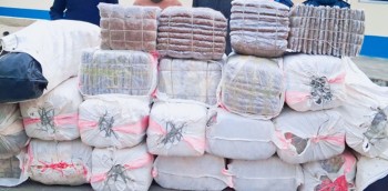 मोरङबाट ६ सय ७८ किलो गाँजा बरामद