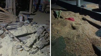 ठोरीमा जंगली हात्तीको आतंक, दुई जना घाइते: घर र अन्नबालीमा क्षति