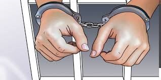 बैंककबाट ११ किलो गाँजा लिएर आएका ३ भारतीय विमानस्थलमा पक्राउ