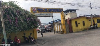 एलपी ग्यास वितरण व्यवस्थित बनाउन आयल निगमको निर्देशन