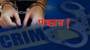 चितवनमा एक वर्षमै ८६ बालबालिका अपराध आरोपमा पक्राउ