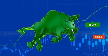  शेयर बजार ३० अङ्कले बढ्यो, ९ अर्ब २० करोडको कारोबार