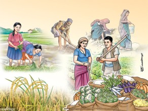नेपालमा कृषि कामदारको ‘हाहाकार’, ‘बारीदेखि बजारसम्म बिचौलियाको बिगबिगी’