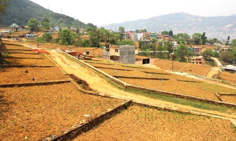 भूमि व्यवस्थापनको तथ्याङ्क अनुसार आर्थिक वर्ष २०८१–८२ को चैतमा घरजग्गा कारोबार उच्च