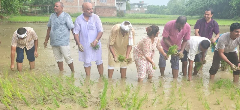नेपाल किसान महासंघ रौतहटद्वारा धान रोपाई कार्यक्रम भव्य रूपमा सम्पन्न