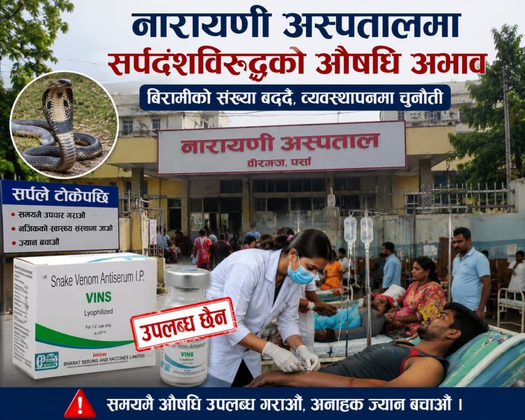 नारायणी अस्पतालमा सर्पदंशविरुद्धको एन्टिस्नेक भेनम अभाव, बिरामीको संख्या बढ्दै जाँदा चिन्ता