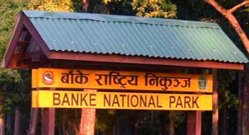 विद्यार्थीहरु वन्यजन्तुका कारण जोखिममा