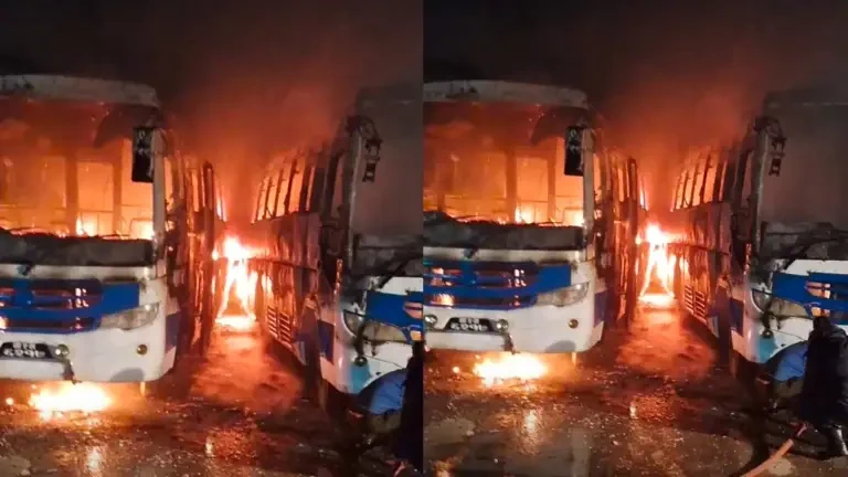 वीरगन्जको  बसपार्कमा दुई बसमा भीषण आगलागी