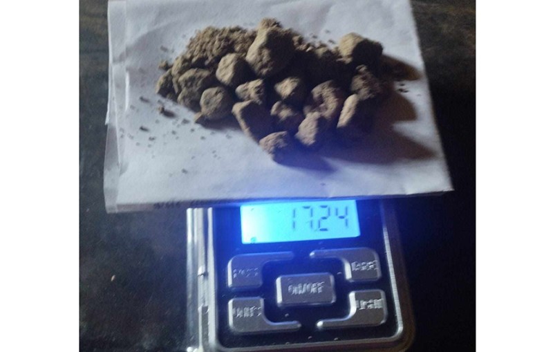 कैलालीमा लागुऔषधसहित ९ जना पक्राउ