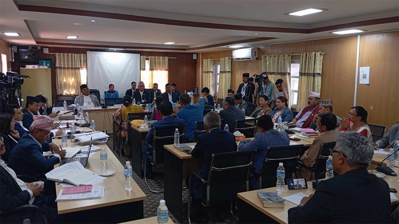 नागरिकता विधेयकमा एनआरएनएको सुझाव संकलन गर्दै संसदीय समिति