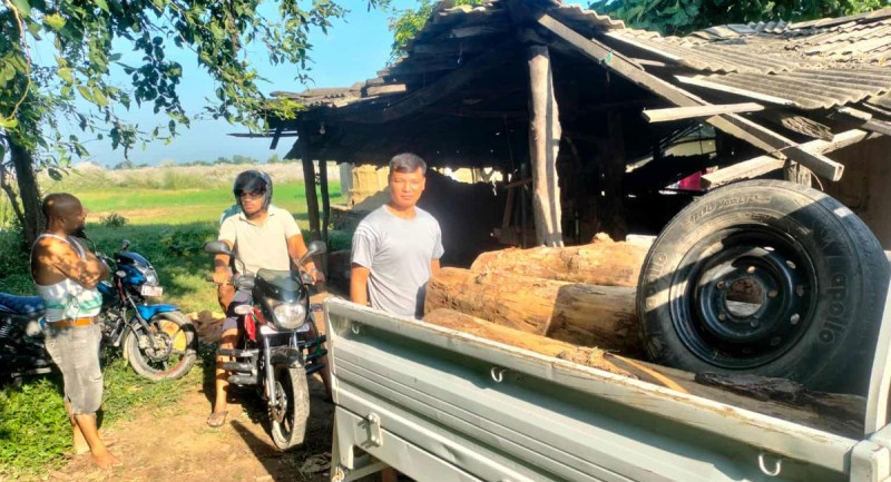 वीरगन्ज चिरान मिलमा छापा, ठूलो परिमाणमा अवैध काठ बरामद